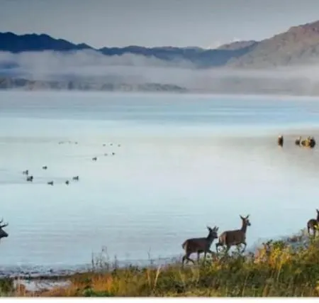 アパート V93c9r0 Stone View Wonderful Spacious Two Bed Attic Private Entrance Private Bathroom With Kitchenette キラーニー