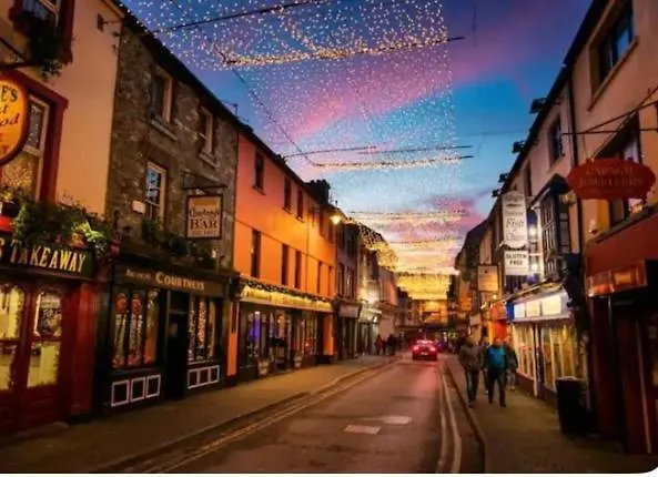 Appartement V93c9r0 Stone View Wonderful Spacious Two Bed Attic Private Entrance Private Bathroom With Kitchenette Killarney