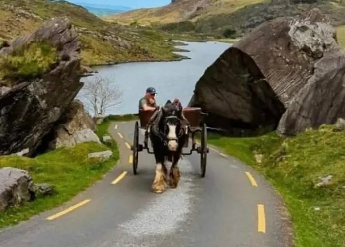 V93c9r0 Stone View Wonderful Spacious Two Bed Attic Private Entrance Private Bathroom With Kitchenette * Killarney